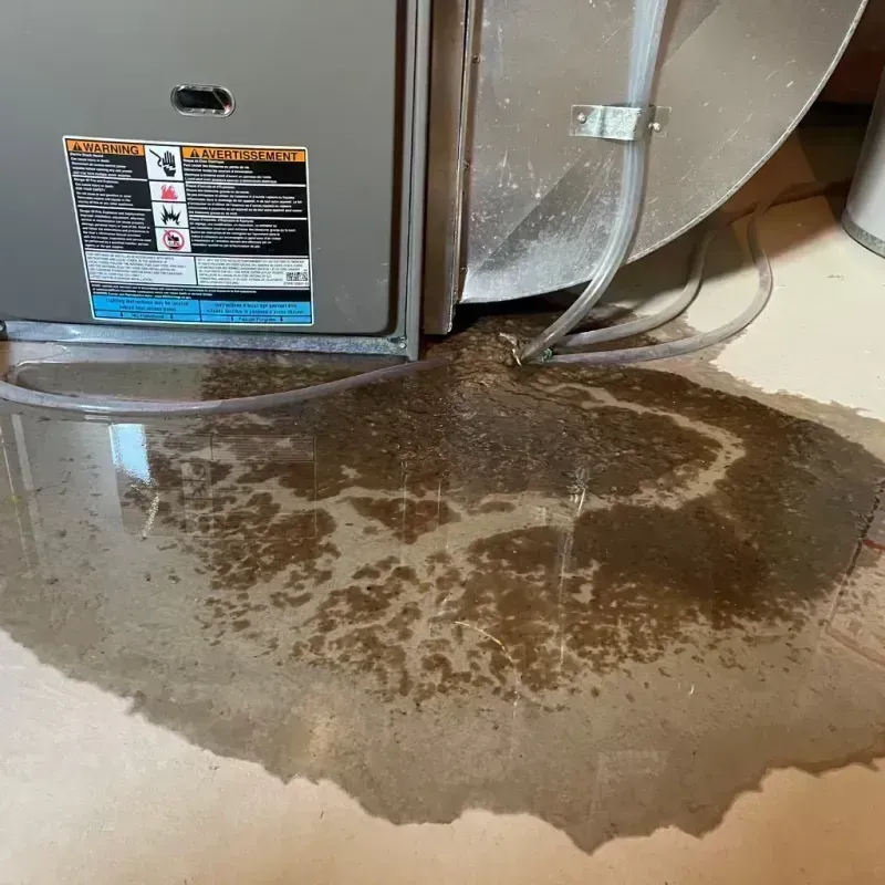 Appliance Leak Cleanup in Saint Martins, MO